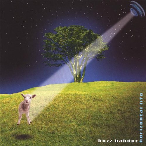 Buzz Bahdur/Horizontal Life