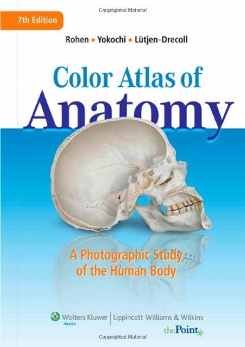 Johannes W. Rohen Color Atlas Of Anatomy A Photographic Study Of The Human Body [with Acce 0007 Edition; 