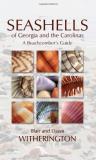 Blair Witherington Seashells Of Georgia And The Carolinas A Beachcomber's Guide 