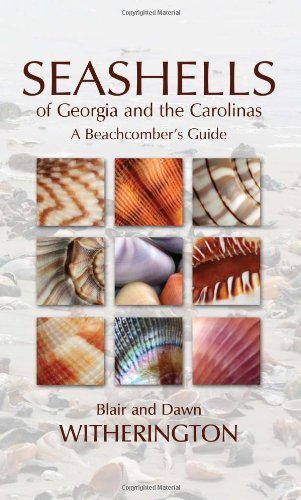 Blair Witherington Seashells Of Georgia And The Carolinas A Beachcomber's Guide 