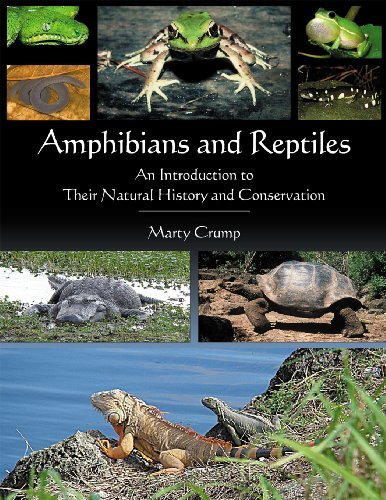 Martha L. Crump Amphibians And Reptiles An Introduction To Their Natural History And Cons 