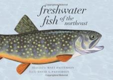 Matt Patterson Freshwater Fish Of The Northeast 