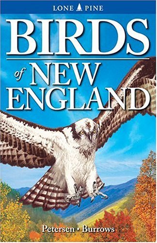 Roger Burrows Birds Of New England 
