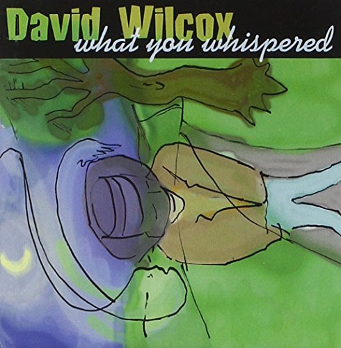 David Wilcox/What You Whispered
