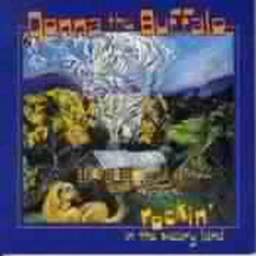 Donna The Buffalo/Rockin' In The Weary Land