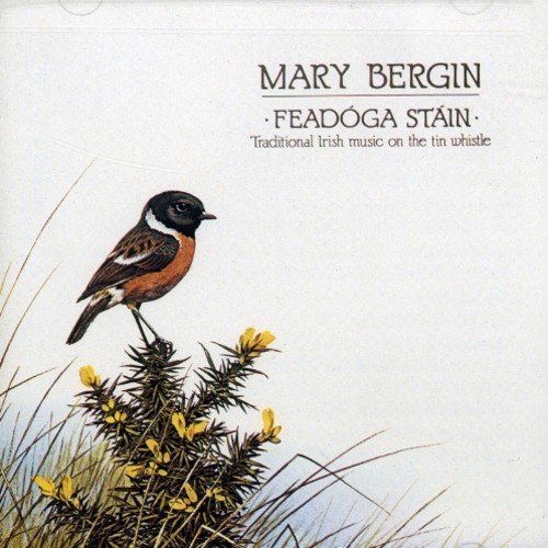 Mary Bergin/Feadoga Stain@.