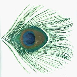 Xtc/Vol. 1-Apple Venus@Apple Venus