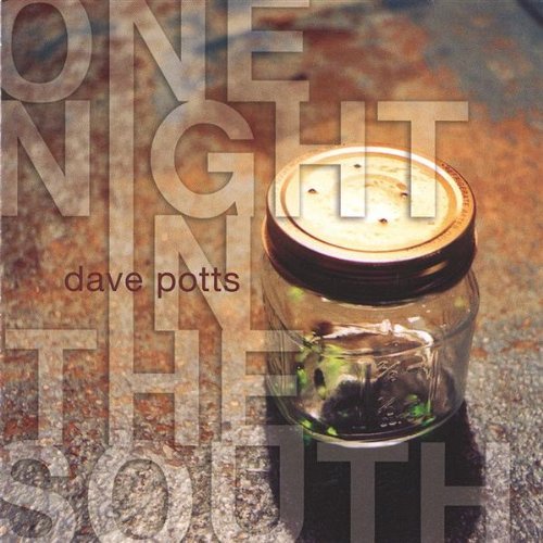 Dave Potts One Night In The South 