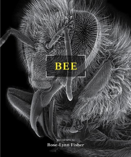 Rose Lynn Fisher Bee 