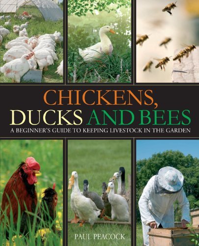 Paul Peacock Chickens Ducks And Bees A Beginner's Guide To Keeping Livestock In The Ga 