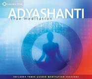 Adyashanti True Meditation Allowing Everything To Be As It Is 
