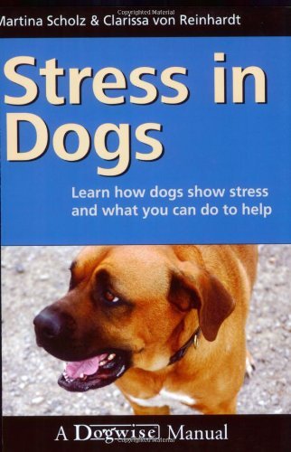 Martina Scholz Stress In Dogs Learn How Dogs Show Stress And What You Can Do To 
