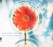Phd Psychosomatic Wellness Guided Meditations Affirmations And Music To He 