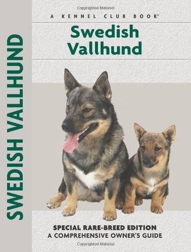 Janice Willton Swedish Vallhund 