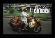 Hans Kemp Bikes Of Burden 