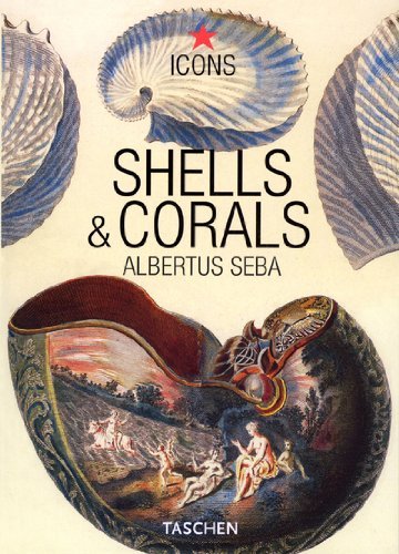 Albertus Seba/Shells & Corals