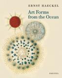 Olaf Breidbach Art Forms From The Ocean The Radiolarian Prints Of Ernst Haeckel 