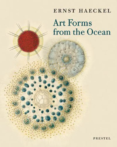 Olaf Breidbach Art Forms From The Ocean The Radiolarian Prints Of Ernst Haeckel 