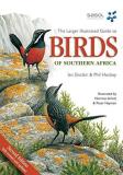 Norman Arlott The Larger Illustrated Guide To Birds Of Southern 