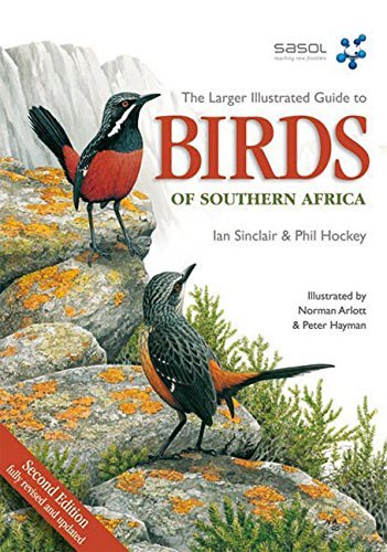 Norman Arlott The Larger Illustrated Guide To Birds Of Southern 