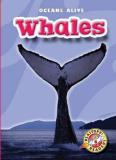 Ann Herriges Whales 