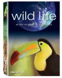 Wild Life Wild Life Ws Nr 6 DVD 