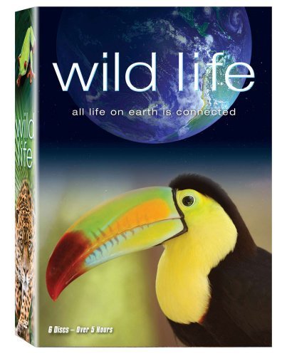 Wild Life Wild Life Ws Nr 6 DVD 