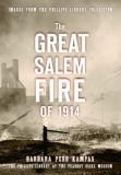 Barbara Pero Kampas The Great Salem Fire Of 1914 Images From The Phillips Library Collection 