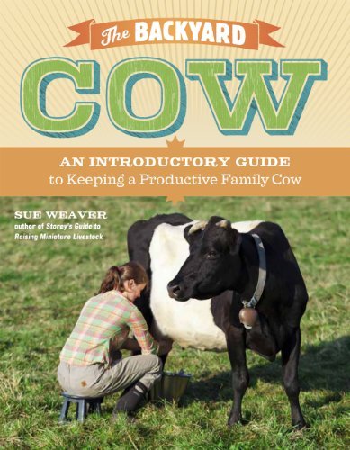 Sue Weaver The Backyard Cow An Introductory Guide To Keeping Productive Famil 