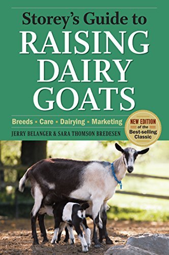 Jerry Belanger Storey's Guide To Raising Dairy Goats 4th Edition Breeds Care Dairying Marketing 
