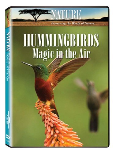 Hummingbirds-Magic In The Air/Nature@Nr