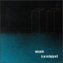 Sunday Puncher/For Your Everchanging World
