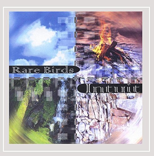 Rare Birds/Intuit
