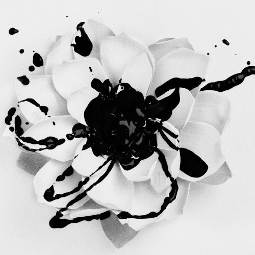 Eyes Set To Kill/White Lotus