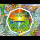 Ozric Tentacles Become The Other Import 