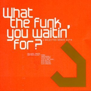 What The Funk You Waitin' F/What The Funk You Waitin' For@Moby/Gopher/Fire Island/Pooley@Underworld/Dj Hell/Leena