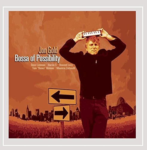 Jon Gold/Bossa Of Possibility