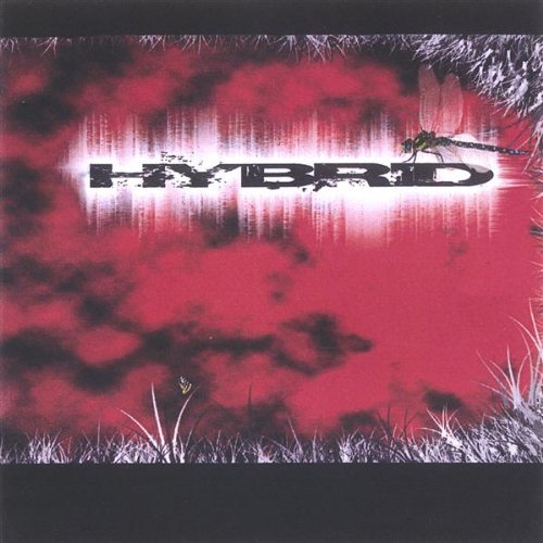 Hybrid/Hybrid
