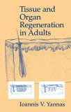 Ioannis V. Yannas Tissue And Organ Regeneration In Adults 2001 