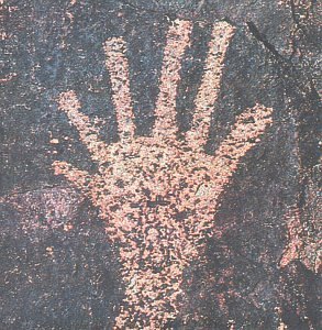 Quercus/Music To Stimulate The Psyche