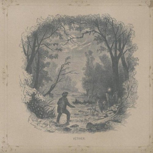 Vetiver/Vetiver