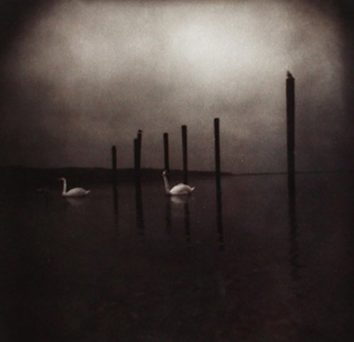 Om/Conference Of The Birds