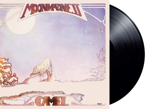 Camel/Moondances