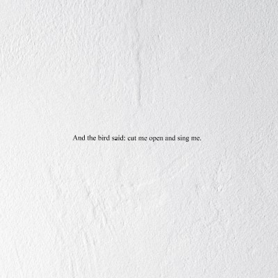 Prairie/And the Bird Said: Cut Me Open & Sing Me