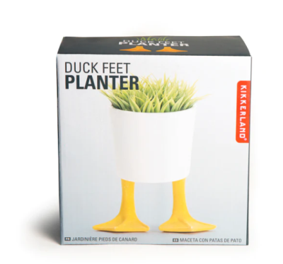 Planter/Large Duck Feet