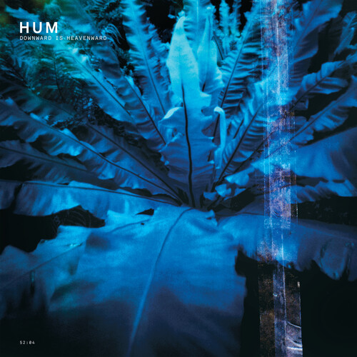 Hum/Downward Is Heavenward (2023 Reissue)@2LP 180g