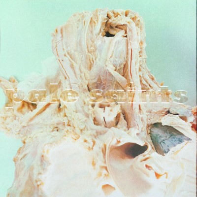 Pale Saints/In Ribbons (Deluxe Edition)@2CD