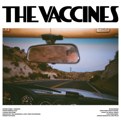 The Vaccines/Pink-Up Full Of Pink Carnations