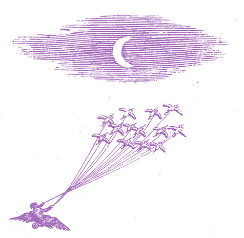 Feeling Figures/Migration Magic