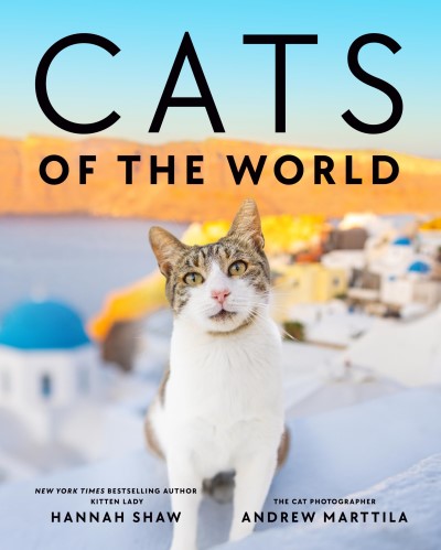 Hannah Shaw/Cats of the World